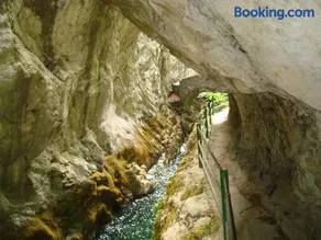 À l'orée du Creux du Van, Noiraigue - Image 5