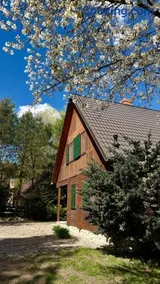Sowa i Kumple - Image 1