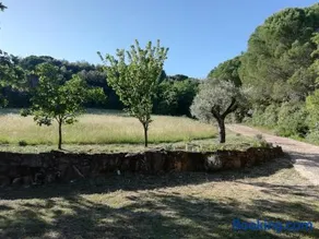 Casa Jacaranda - Image 3