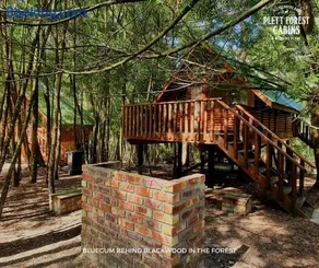 Plett Forest Cabins - Image 2