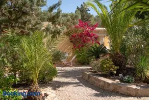 Bungalows Casa Amarilla - Image 2