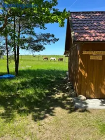 Leśny Zakątek - Mazury - Warmia - jezioro Dadaj - Image 3