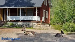 Riekko Chalet - Image 4