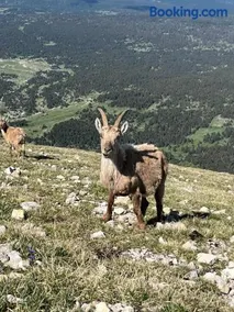 Le Veymont - Image 2