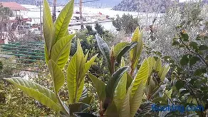 Cennet Pansiyon - Image 2