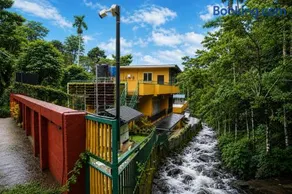 Adrivana By The Stream, Banasura, Wayanad - Image 2