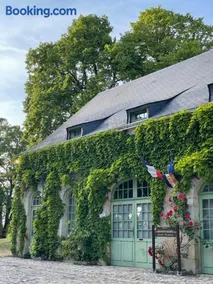 Le petit Loré - Image 2