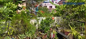 The Garden Nest Kolkata - Image 2