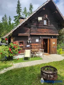 Urige Waldbienenhütte - Image 3
