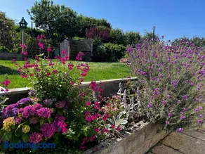Charming 3 Bedroom Cottage - Garden WiFi Parking - Image 4