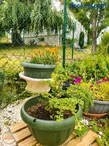 Charmant 5 pièces tout équipé 2-7 pers - Image 2