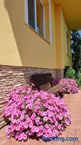 Vila Adria - Image 2