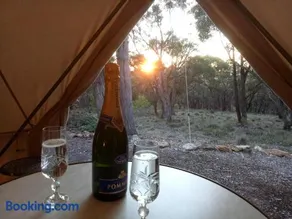 Macedon Ranges Glamping with kangaroos - Image 2