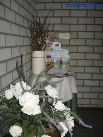 Rustpunt Groote Heide - Image 2