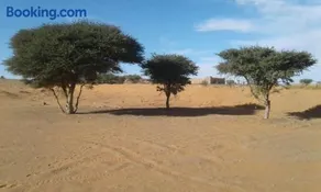 Tazoult Ouzina - Image 5