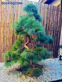 藤花楼akagawa 登録文化財 - Image 5