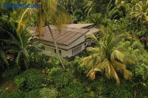 Sinharaja Tranquil Homestay - Image 1