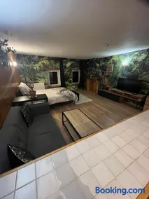 Jungle studio - Image 1