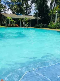 New Greenish Villa - Image 2