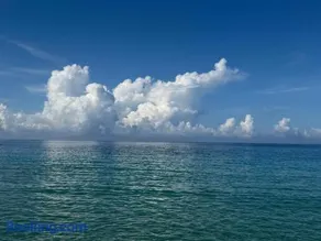 Seasid830 - Image 1