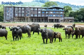 The Treetops Lodge - Image 1