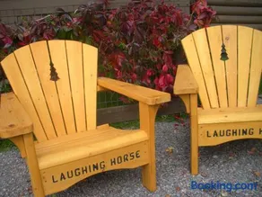 Laughing Horse Lodge - Image 3
