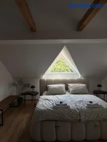 Apartma Lavanda - Image 2