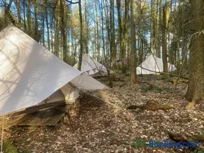 Spirited Adventure Ltd Bushcraft Survival Air rifles - Image 5