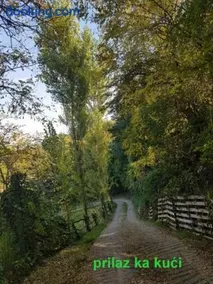 "Popov VRT" Banoštor - kuća-vikendica na Dunavu-Fruskoj Gori - Image 3