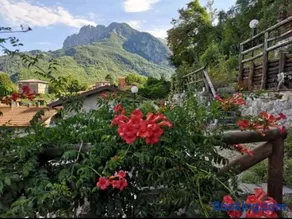Agriturismo La Calamaia - Image 2