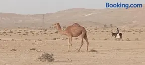 מדברא - צימר בירוחם - Image 1