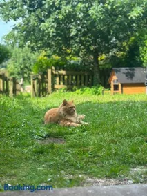 Lodge hill BnB - Image 4