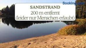 Hundeurlaub - Tiny House im Wald - Image 4