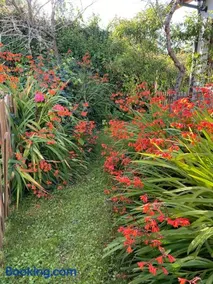 La Casina de Inesita - Image 4