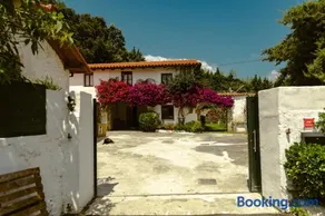 La casa de los árboles - Image 4