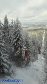 Chamkoria Borovets luxury apartment view - Image 4