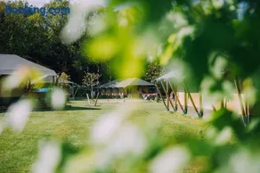 Glamping de Bosweide - Image 3