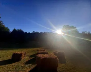 Koliba Šume Pjevaju - robinzonski smjestaj, struja 12 V, voda iz cisterne - Image 3
