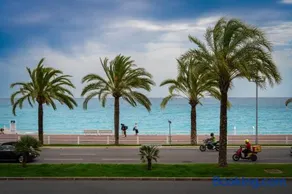Sunny Days - Image 2