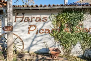 Haras Picard du Sant - Image 3