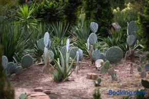 Old Garden - Image 3
