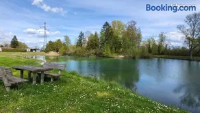 la petite mesange - Image 3