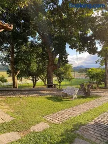 Haras dos querubins - Image 5