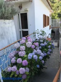 Appartamento Rosa - Image 2