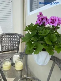 Camelia luxury apartment - Image 5