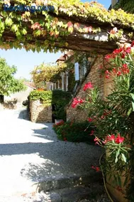 La vignolle - Image 1