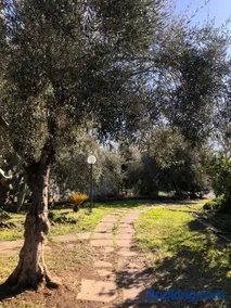 Casa Vacanza L'ulivo - Image 1