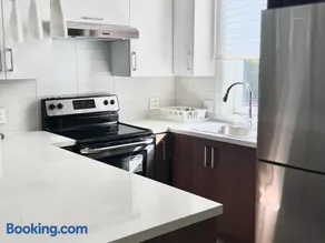 Brand New Modern Laneway House - Image 2