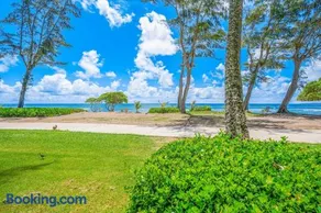 Islander on the Beach 152 - Image 3