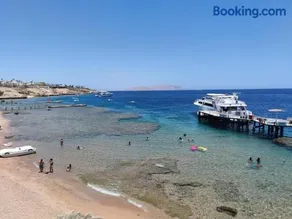 SunshineDiversClub - Sharks Bay - Image 2